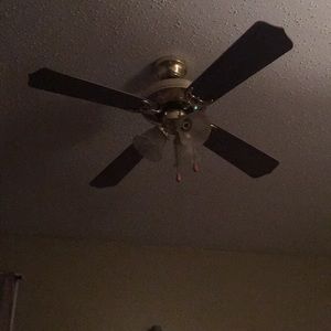 Meet your Posher, Patsy